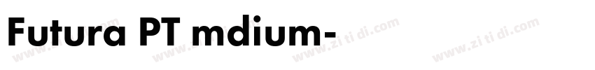 Futura PT mdium字体转换